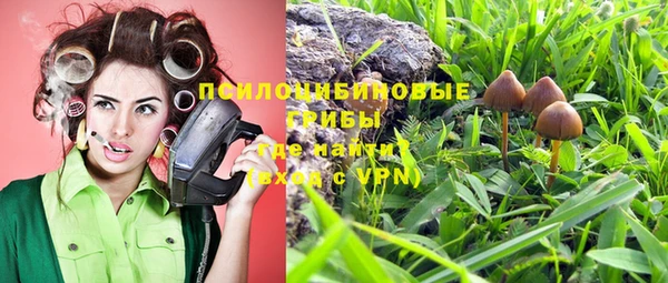 apvp Абаза