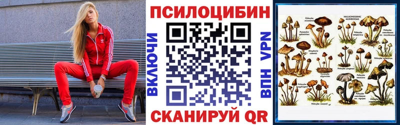 Псилоцибиновые грибы мицелий дарнет шоп Темников
