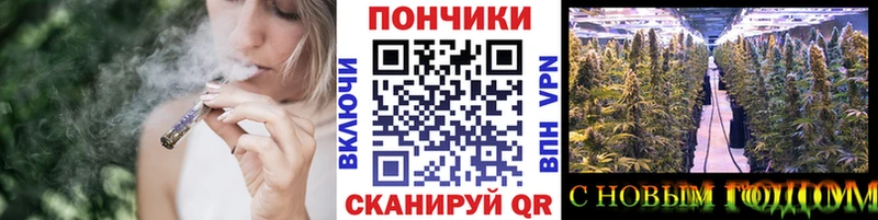 Бошки Шишки ГИДРОПОН  сайты даркнета Telegram  Темников  закладки 